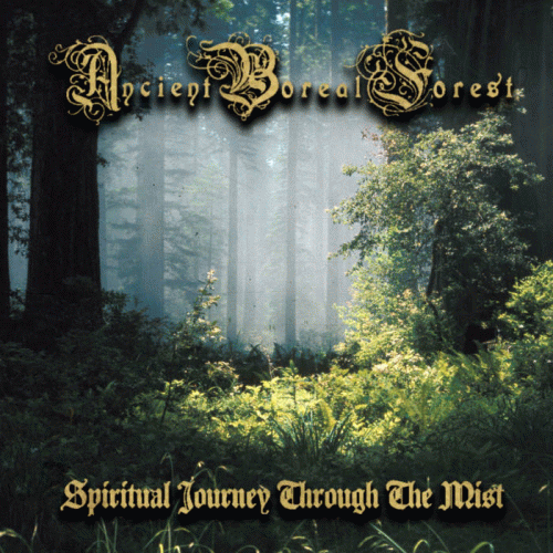 Ancient Boreal Forest : Spiritual Journey Through the Mist
